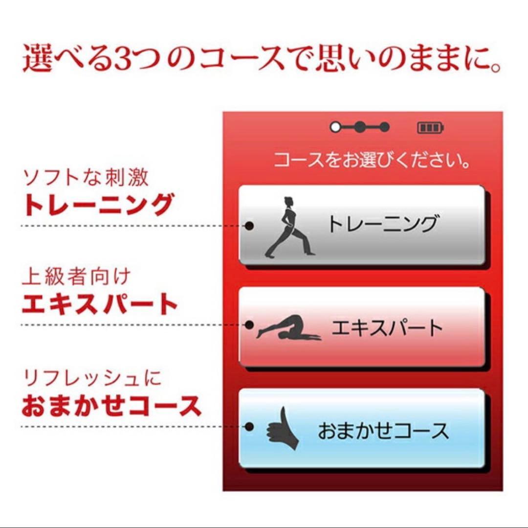 【正規品】スタイリフトSTYLIFT家庭用EMS 高周波 伊藤超短波