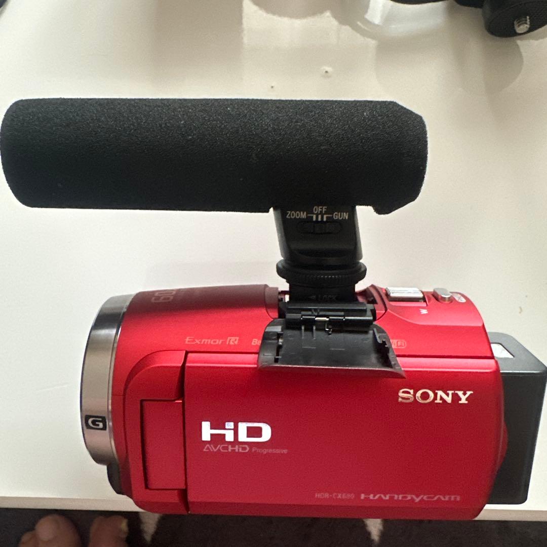 SONYハンディカム、専用ガンマイク