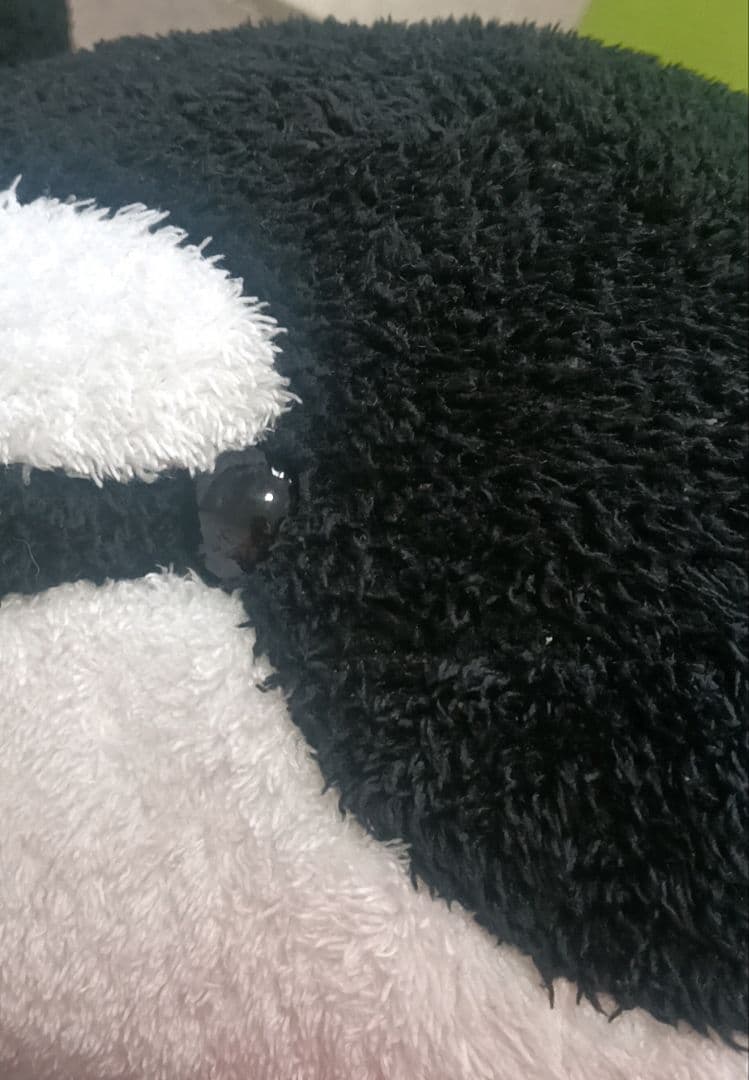 鴨川シーワールド　シャチ　ぬいぐるみ　大きい　全長約80〜90センチ　黒