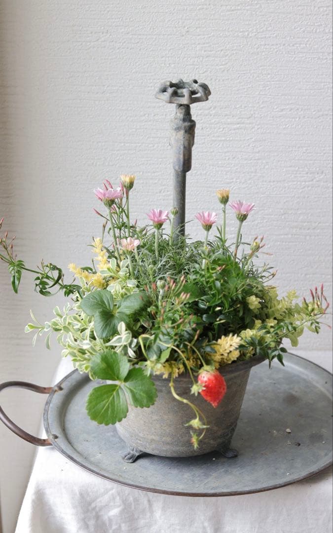 シャビーでキュートな春の寄せ植え