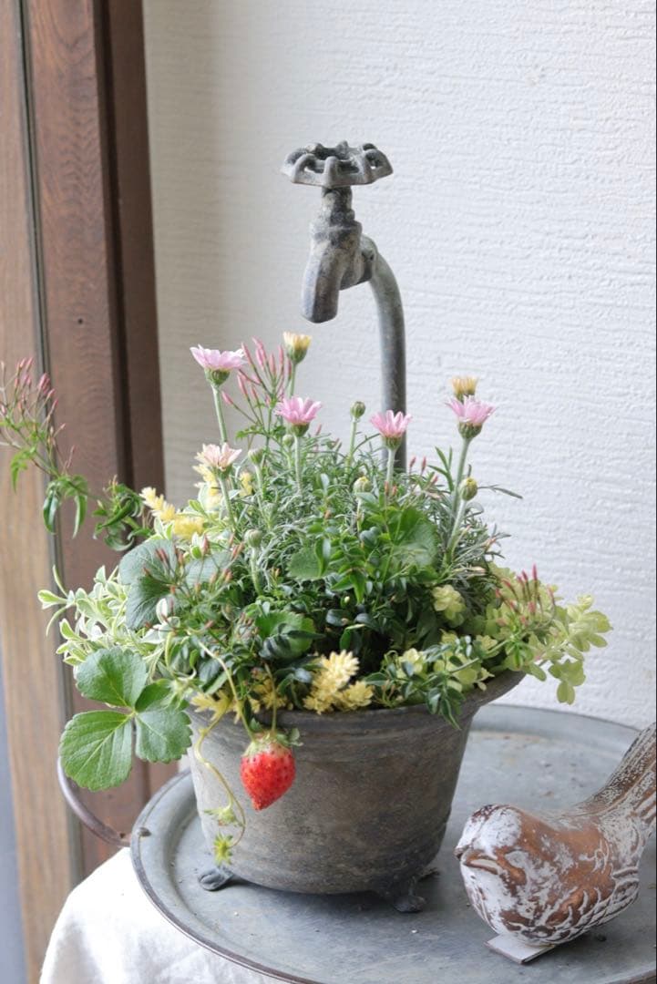 シャビーでキュートな春の寄せ植え