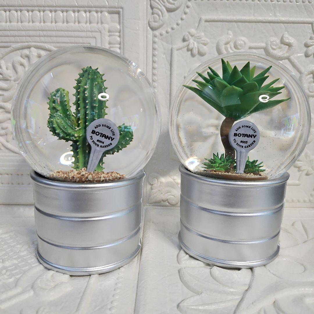 新品 未使用品 DULTON ダルトン PLANTS WATER GLOBE