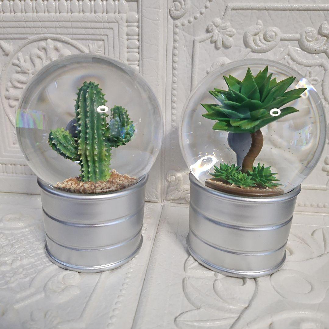 新品 未使用品 DULTON ダルトン PLANTS WATER GLOBE