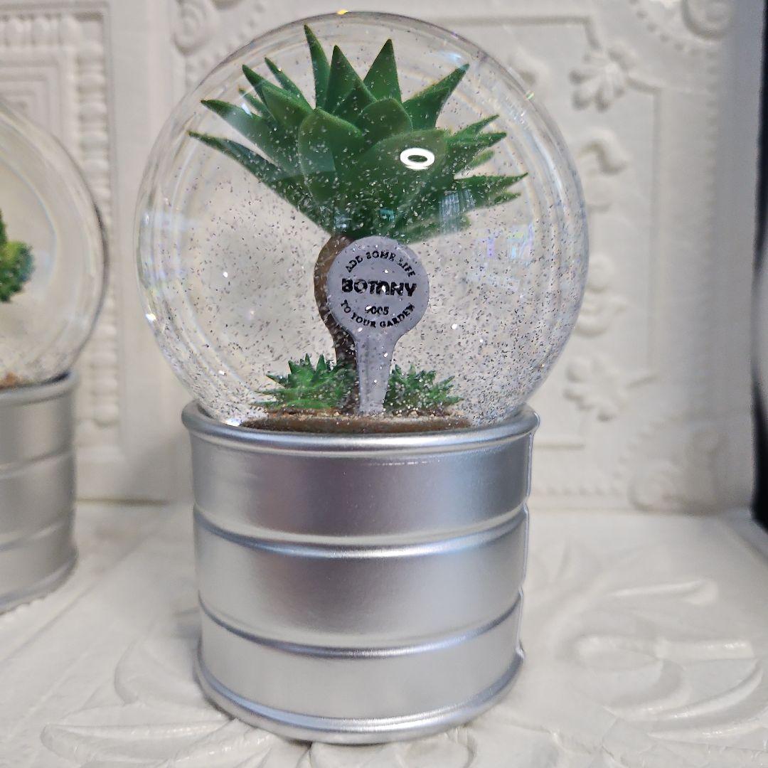 新品 未使用品 DULTON ダルトン PLANTS WATER GLOBE