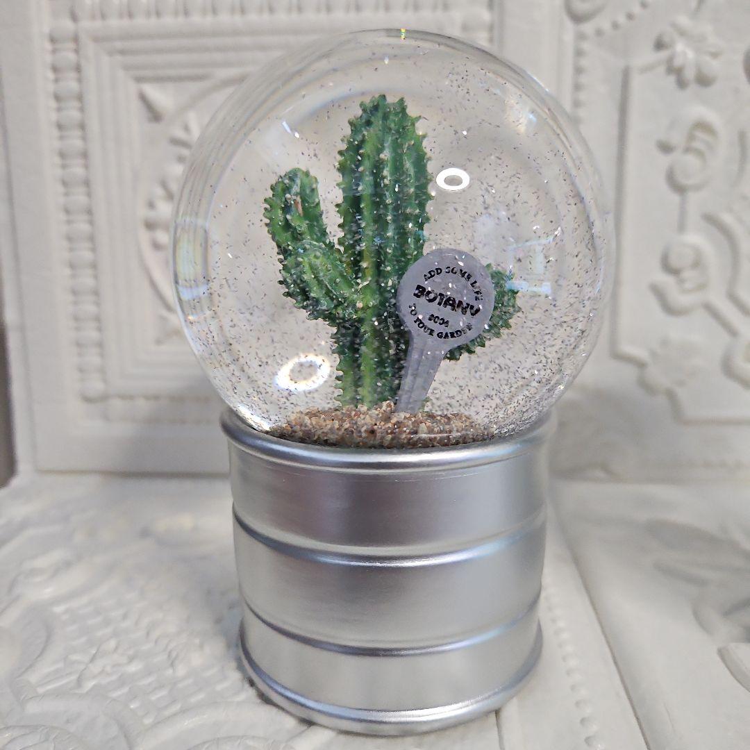 新品 未使用品 DULTON ダルトン PLANTS WATER GLOBE