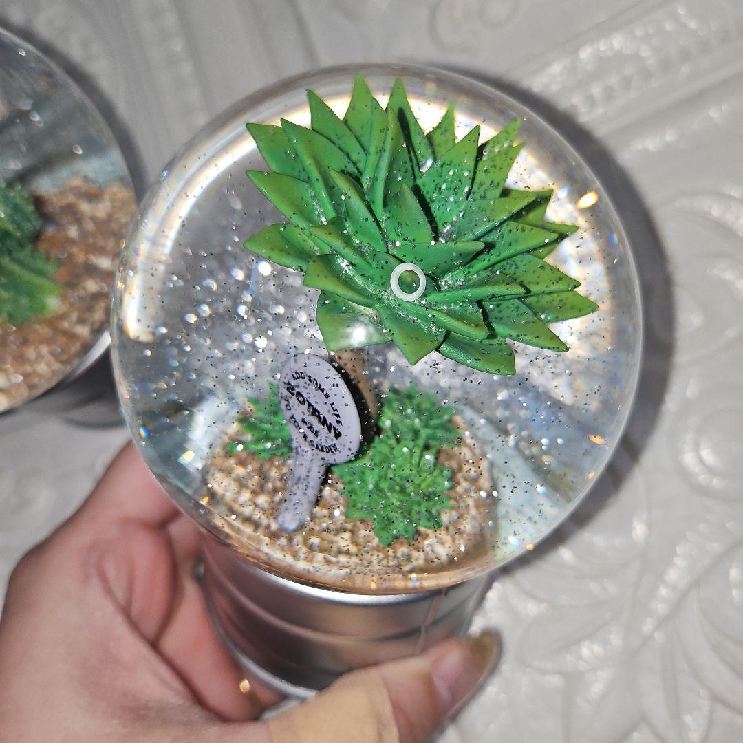新品 未使用品 DULTON ダルトン PLANTS WATER GLOBE