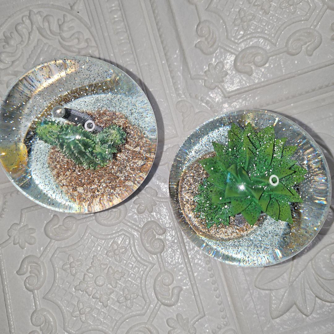 新品 未使用品 DULTON ダルトン PLANTS WATER GLOBE