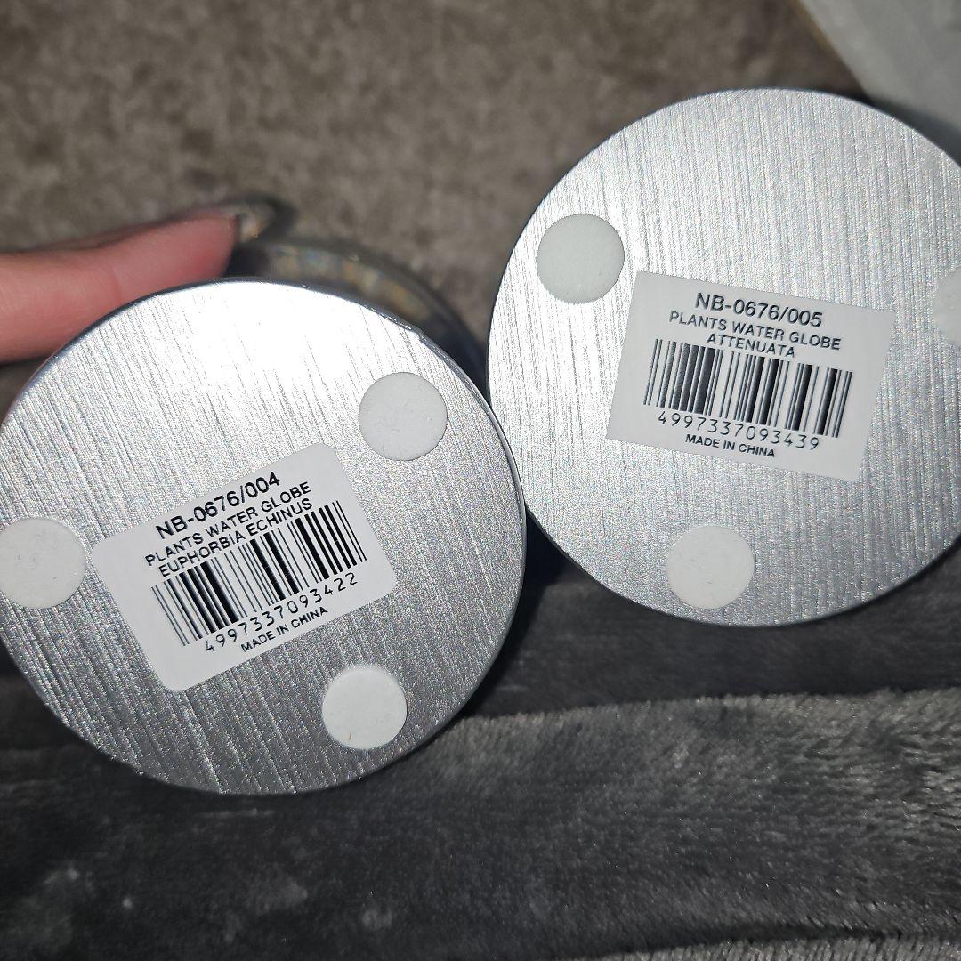 新品 未使用品 DULTON ダルトン PLANTS WATER GLOBE
