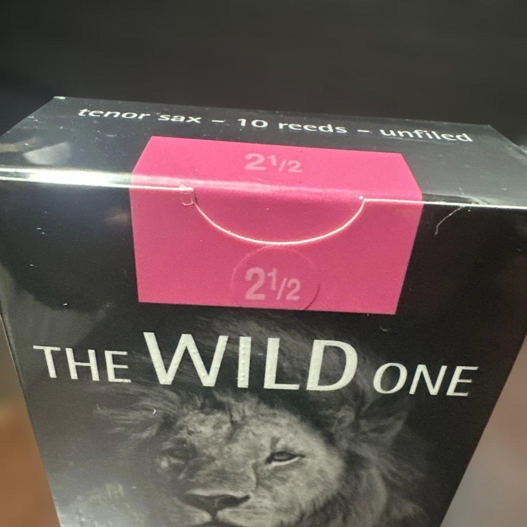 Rigotti the wild one テナー　2.5