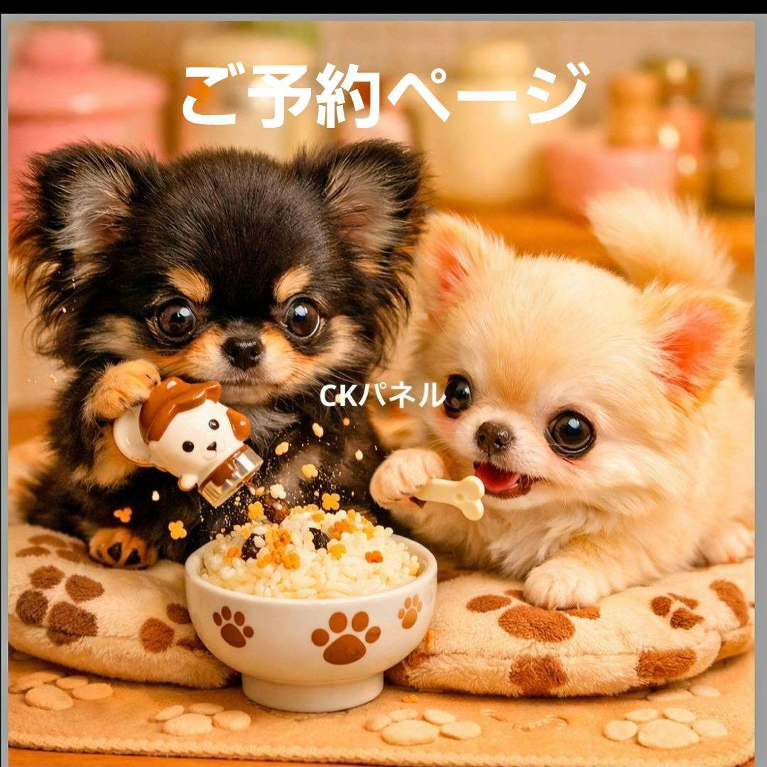 激レアふりかけご飯チワワ、柴犬、ダックス、パグ、ポメラニアン、トイプーパネル生地