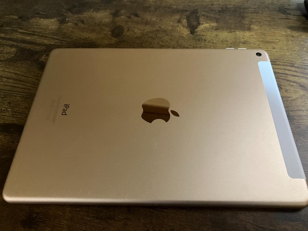 iPad Air2(128GB、Wi‑Fi + Cellular)保護ケース付き