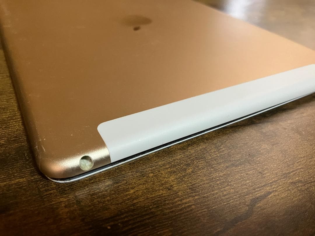 iPad Air2(128GB、Wi‑Fi + Cellular)保護ケース付き