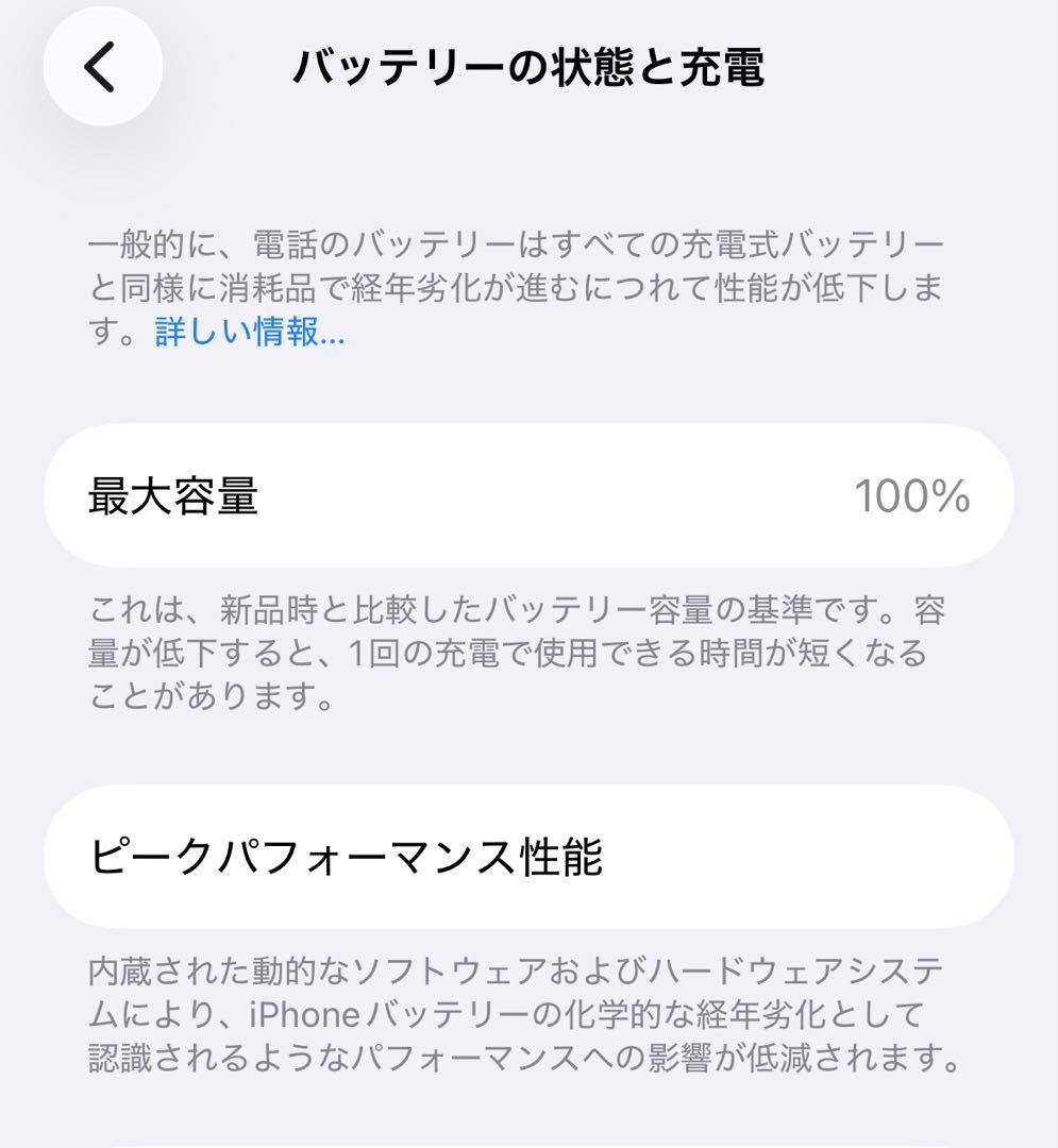⭐️迎春大セール⭐️〔極美品） iPhone13Pro グラファイトSIMフリー