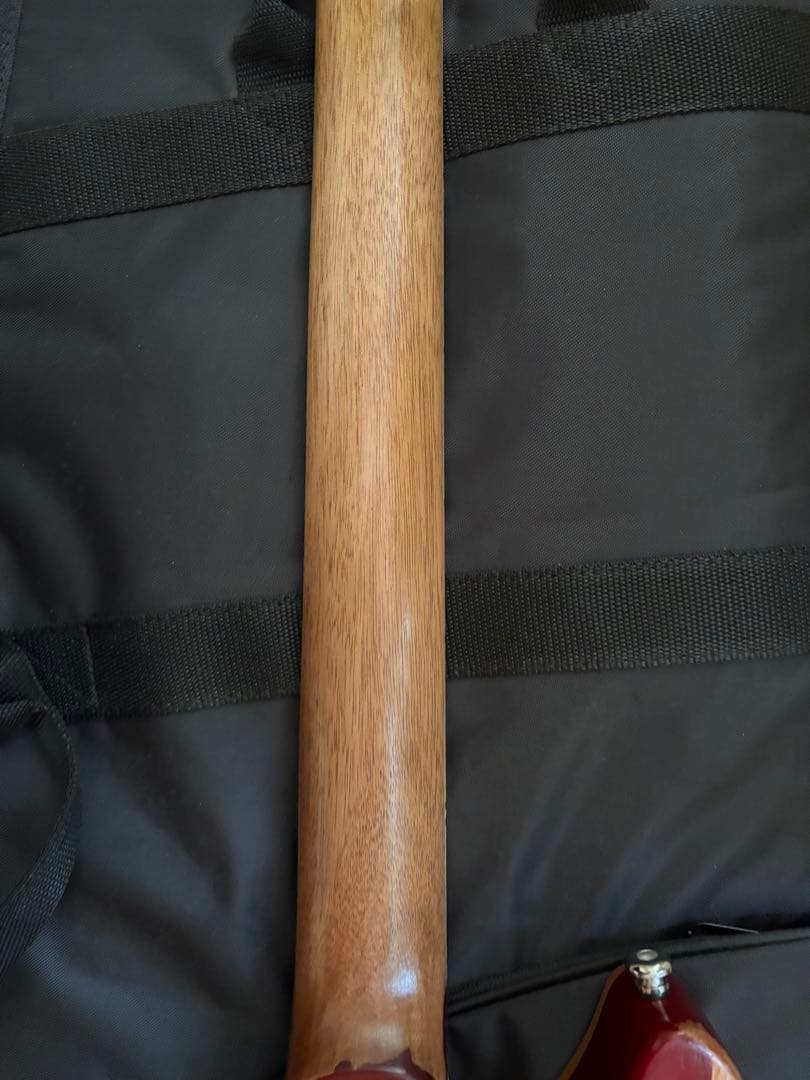 BanG Dream! POTBELLY FM Rana、未開封ポスター付き