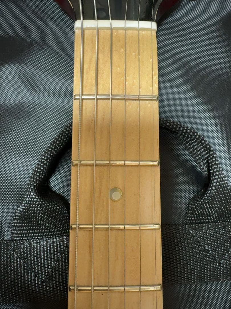 BanG Dream! POTBELLY FM Rana、未開封ポスター付き