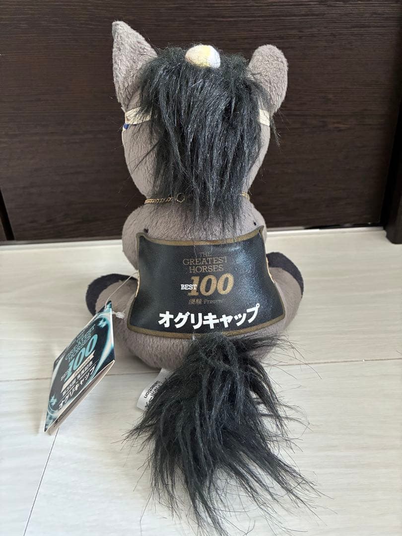 オグリキャップ　アイドルホース