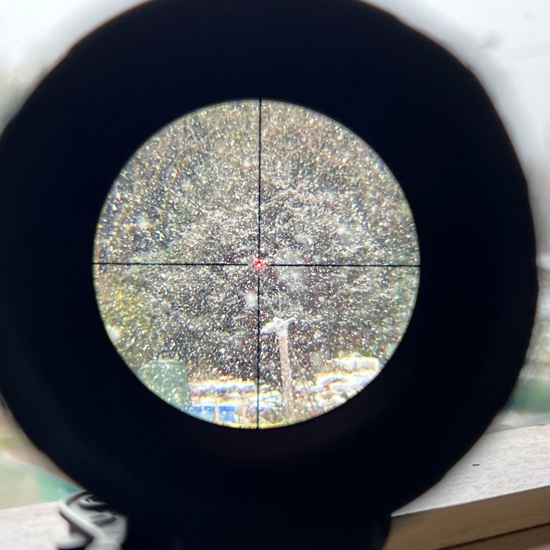 【実物】Sig Sauer WHISKEY5 1-5X20mm ライフルスコープ