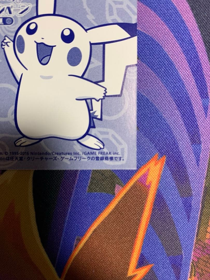 ピカチュウ名刺　ポンチョを着たピカチュウ　メガレックウザ　カード