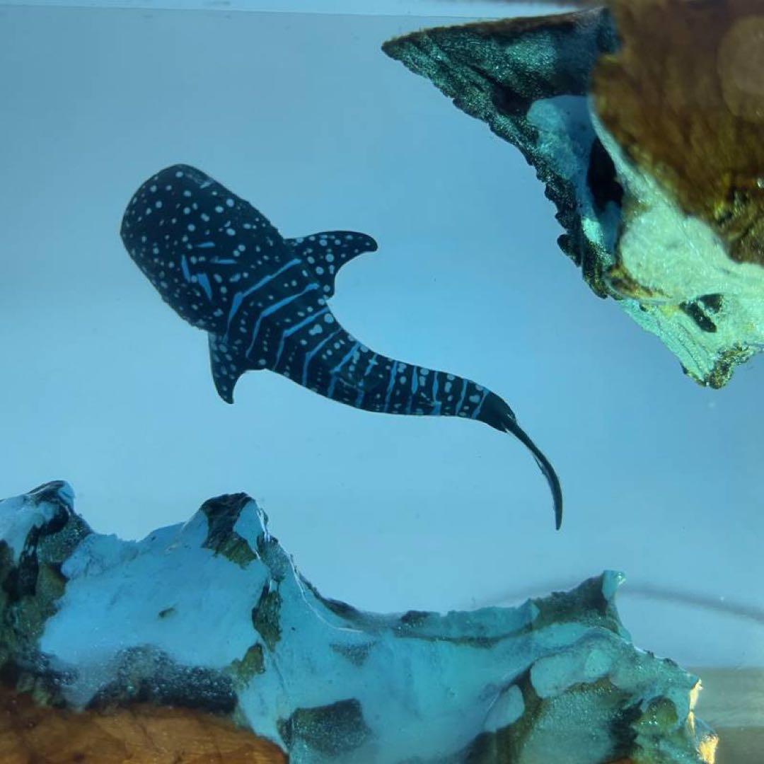 レジンランプ　海のランプ　ナイトランプ　ジンベイザメ　ダイビング