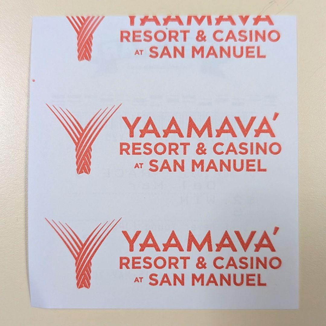 フォーエバーヤング BCクラシック2025 現地単勝馬券 レーシングプログラム