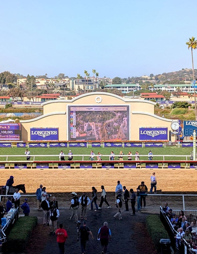 フォーエバーヤング BCクラシック2025 現地単勝馬券 レーシングプログラム