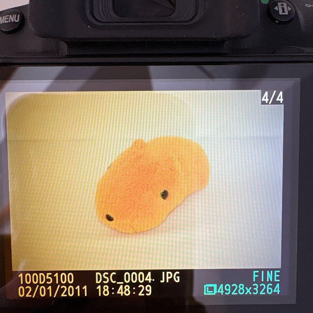 望遠レンズセット Nikon D5100 スマホ転送OK 運動会 発表会に