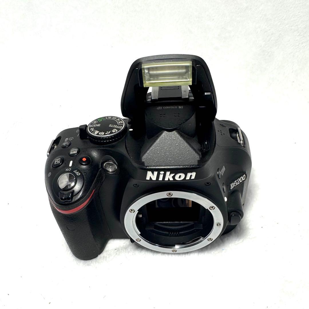 Nikon D5200、18-55mm F3.5-5.6セット　#2989