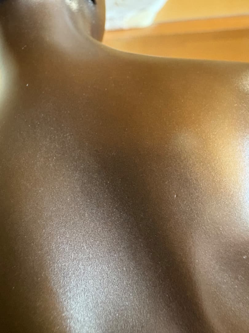 Taka 　ファルコネ作「ビーナス」縮小複製（ロストワックス製法）