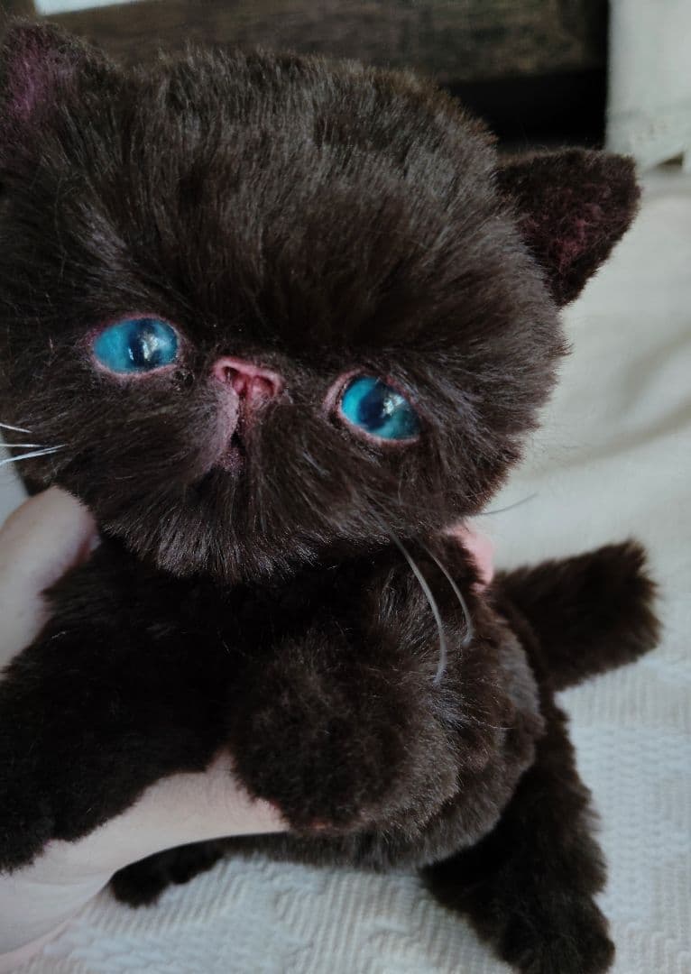 エキゾ子猫♡ちっちちゃん♡アートドール♡ぬいぐるみ♡
