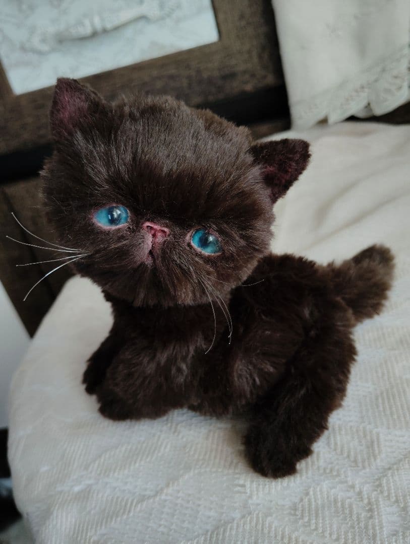エキゾ子猫♡ちっちちゃん♡アートドール♡ぬいぐるみ♡
