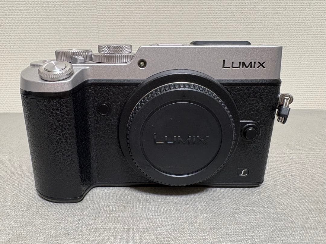 Panasonic LUMIX DMC-GX8H 高倍率ズームレンズセット