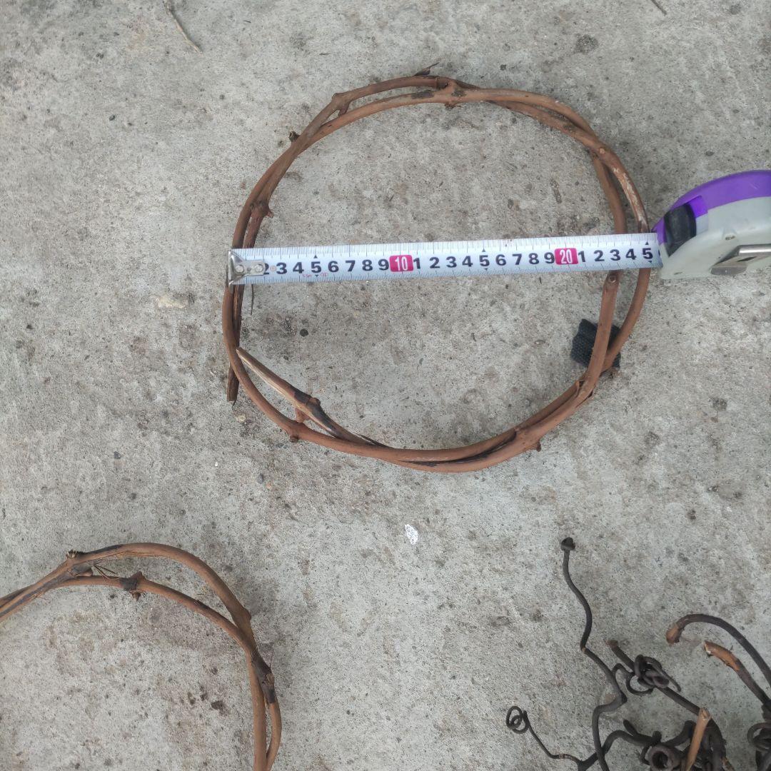 【限定販売】特大（45㎝）含む山葡萄リース土台5点セット