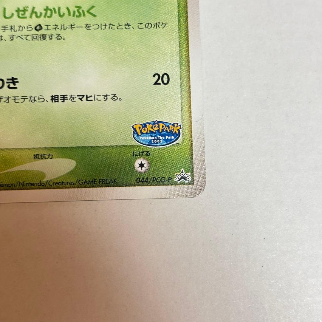 【ポケパーク限定】セレビィ 2種セット（プロモ版　プレミアムファイル含む）