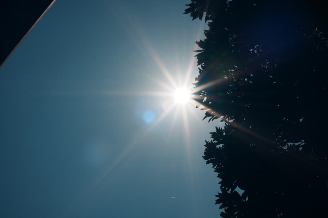 【極美品】ニコン Ai-s Micro-Nikkor 55mm F2.8 721