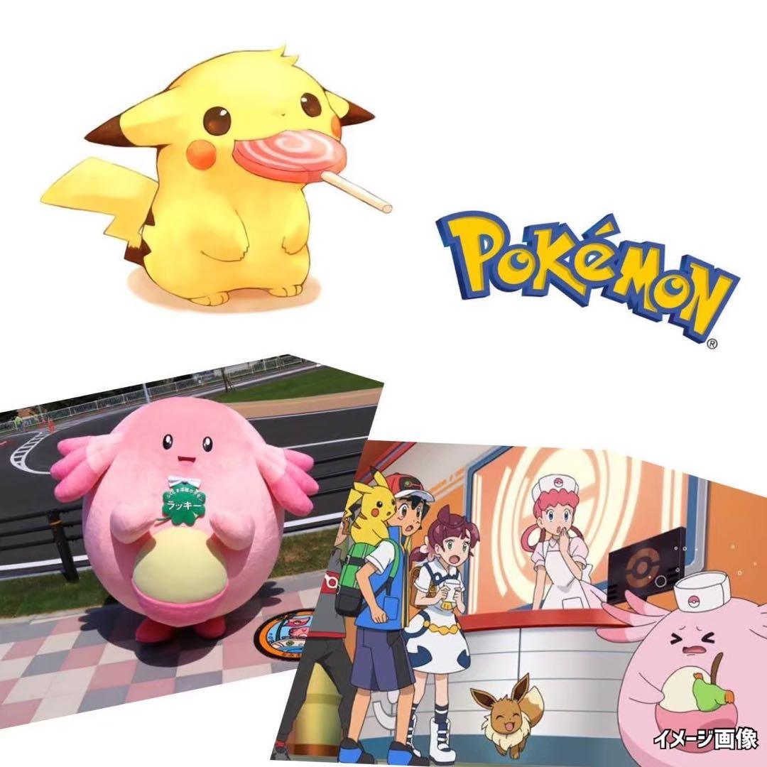 ポケモンカード未開封パックホワイトフレア《デラックス版》AR確定2P