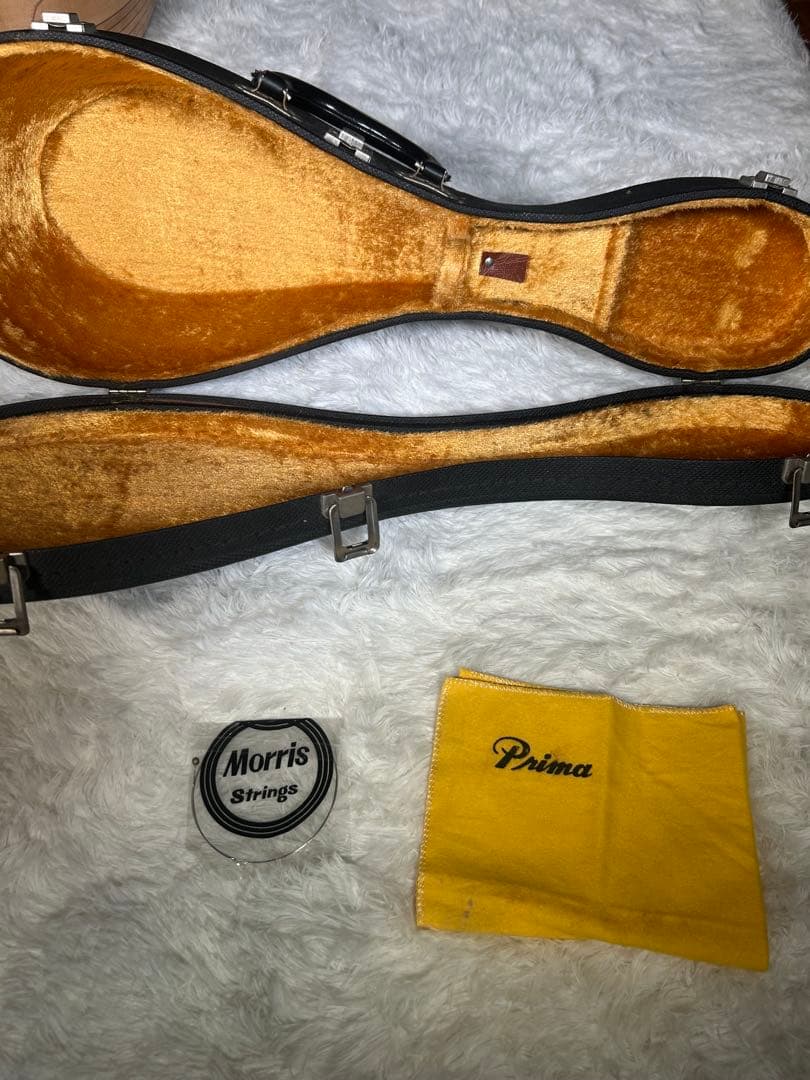 SUZUKI M-30 マンドリン 本体 ハードケース付き