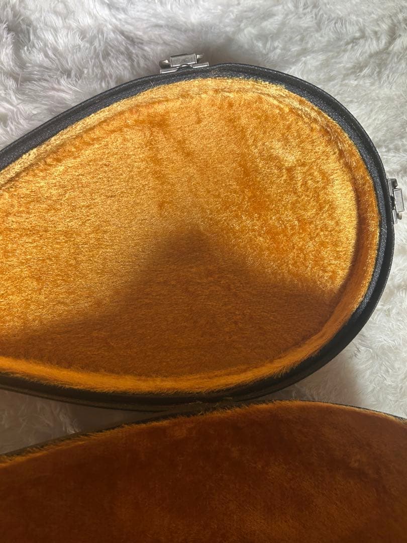 SUZUKI M-30 マンドリン 本体 ハードケース付き