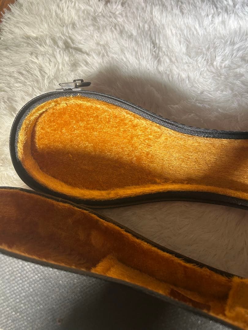 SUZUKI M-30 マンドリン 本体 ハードケース付き