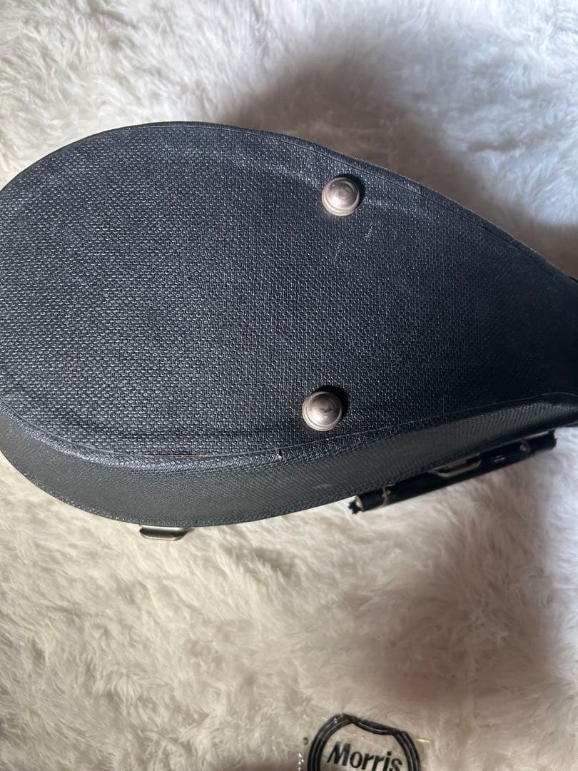 SUZUKI M-30 マンドリン 本体 ハードケース付き