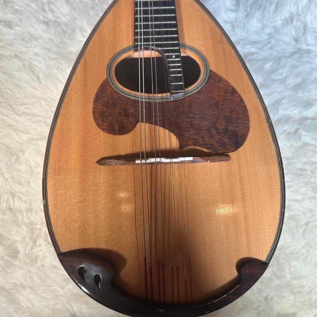 SUZUKI M-30 マンドリン 本体 ハードケース付き