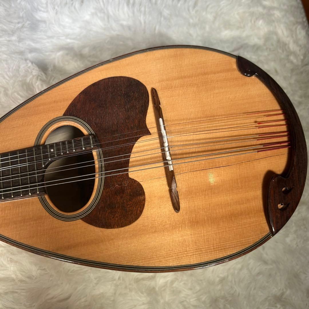 SUZUKI M-30 マンドリン 本体 ハードケース付き