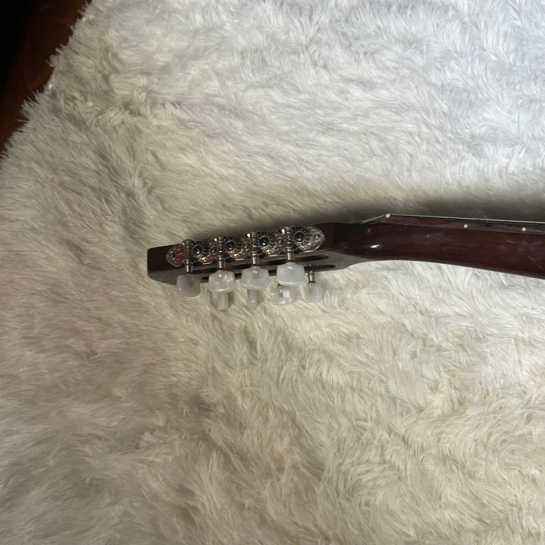 SUZUKI M-30 マンドリン 本体 ハードケース付き