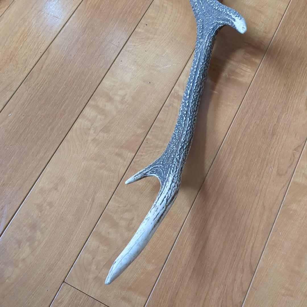 鹿の角