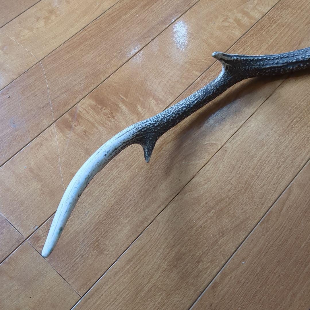 鹿の角