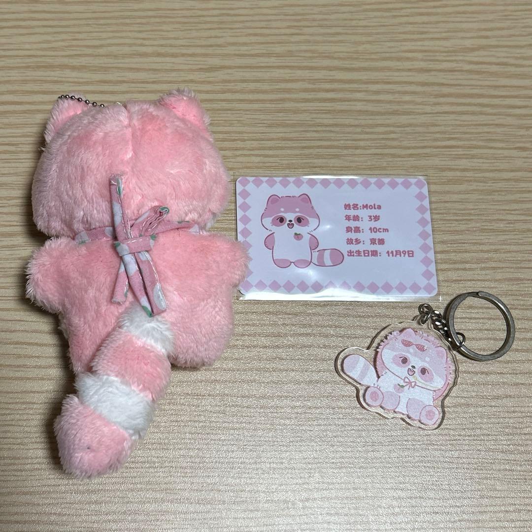 TWICE モモ モブリー ぬいぐるみ　10cm 新品 マスター momo