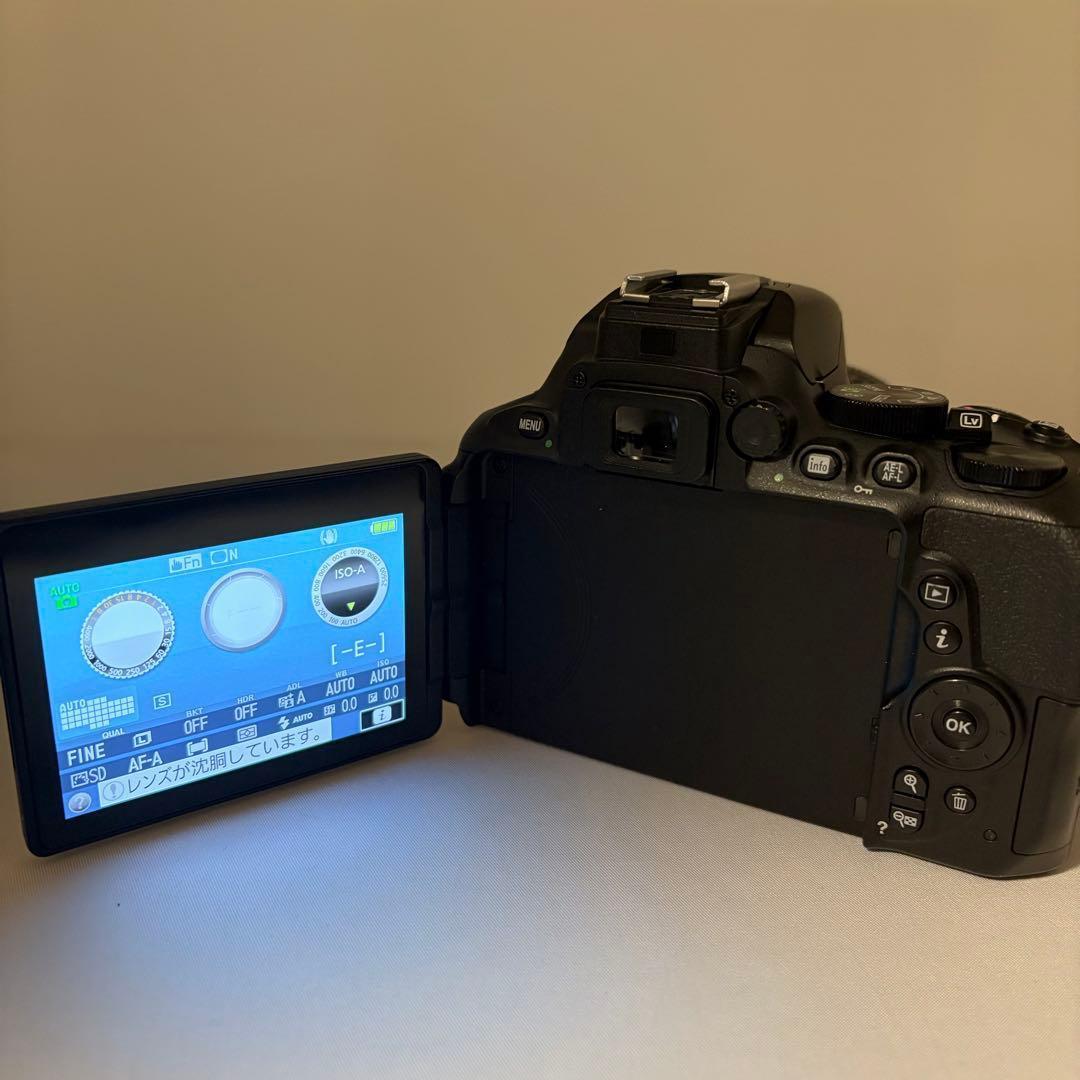 動作良好 美品 Nikon D5600 スマホ転送 WiFi 初心者OK