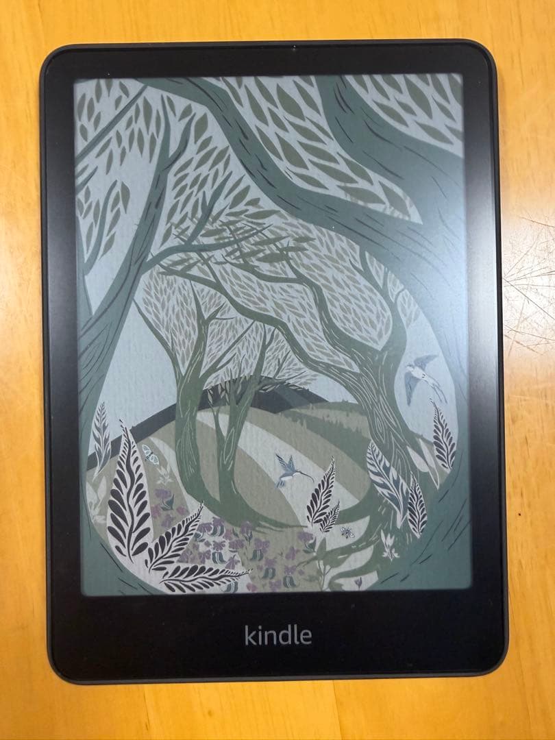 Kindle ColorSoft 16GB 本体