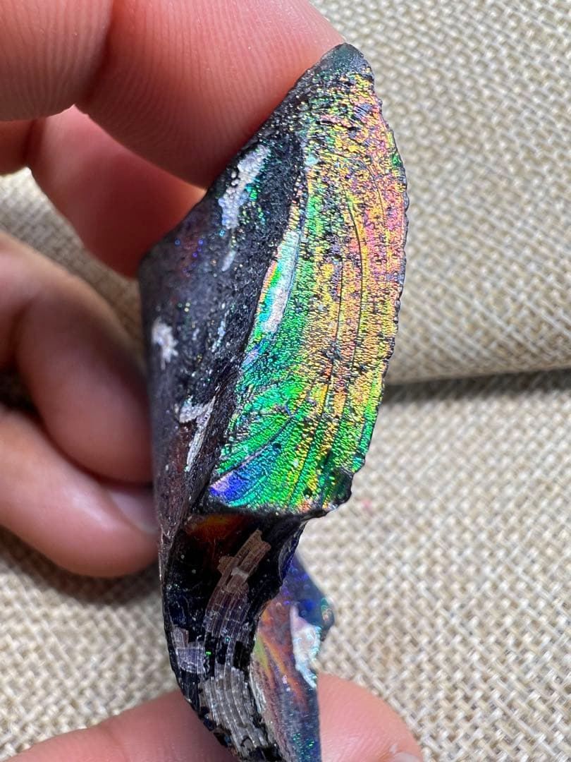 ✴︎高品質 ✴︎ローマングラス ボトル 破片
