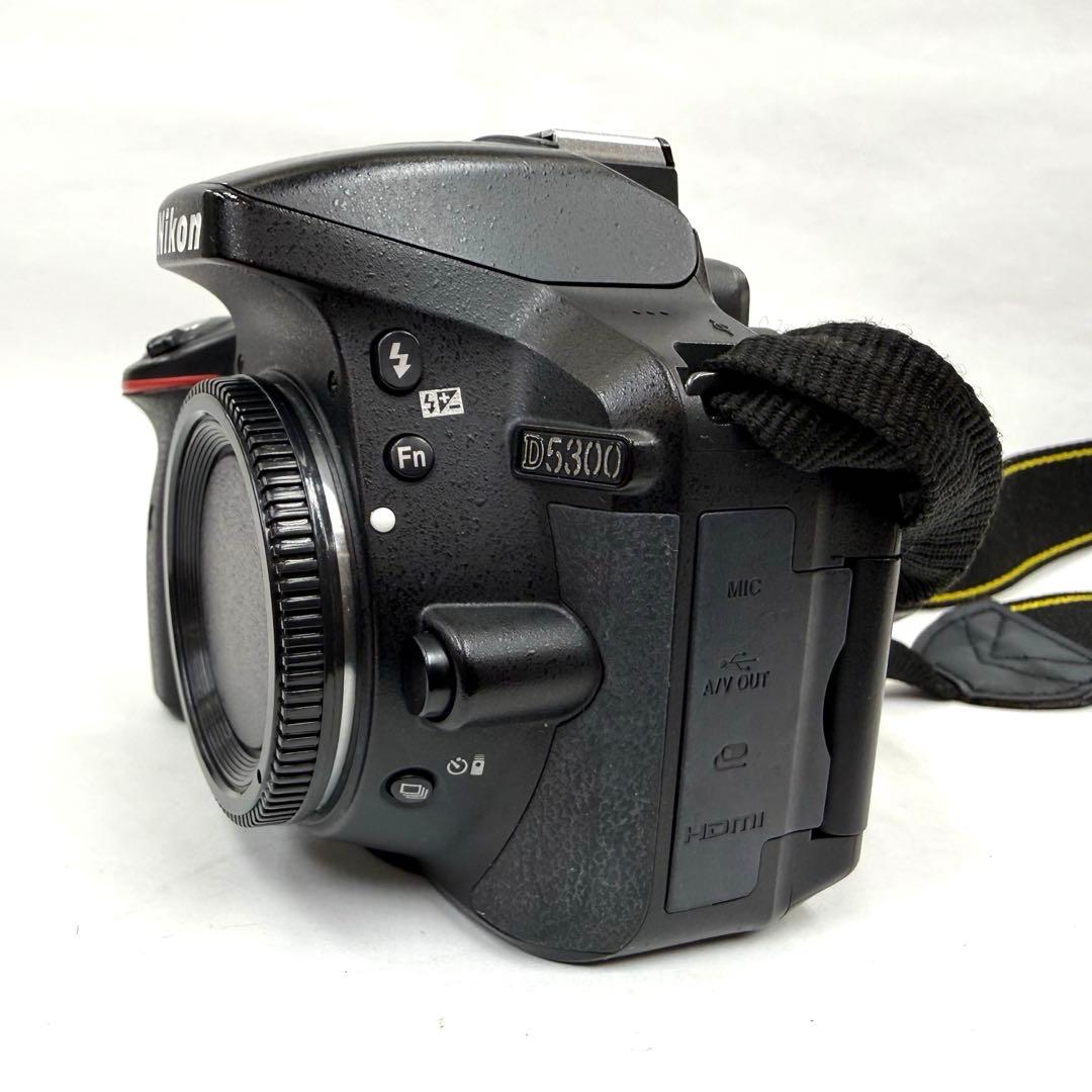 Nikon ニコン D5300 デジタル一眼レフカメラ