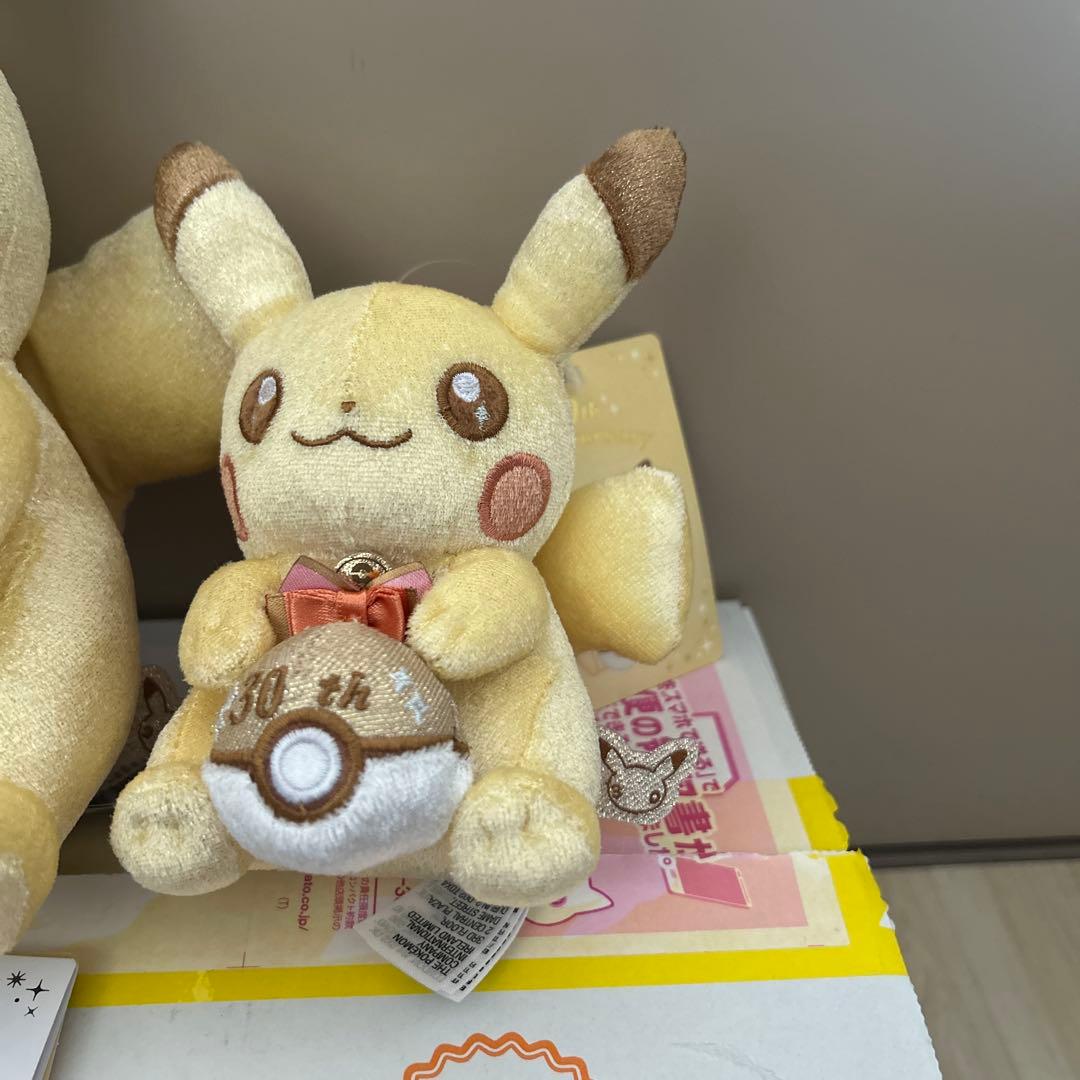 ピカピカ！ピカチュウ ポケモンセンターオリジナルBOX ポケモン30周年